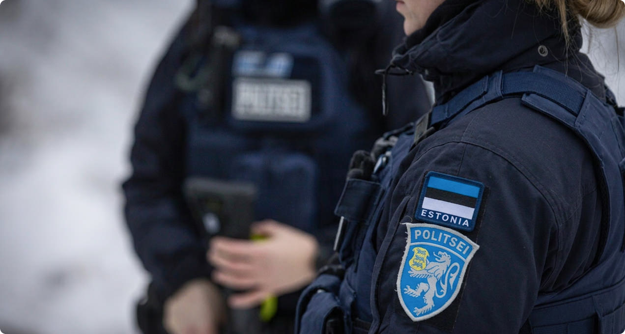 AI-Driven Oversight in Estonia’s Firearm Registry